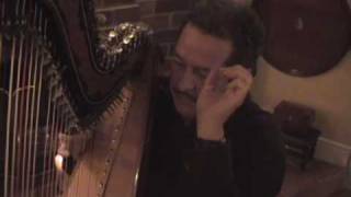 Francisco Yglesia Plays quotShimmering Harpquot on the Paraguayan Harp [upl. by Nidak]