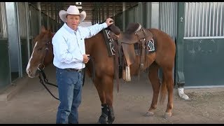 How to Choose a Saddle Pad with Ken McNabb [upl. by Eserrehs]