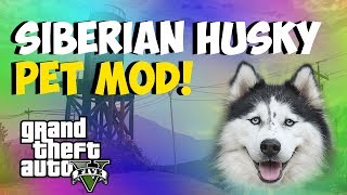 GTA 5  Siberian Husky quotPET DOG MODquot How to Get a Pet Husky quotGTA 5 MOD SHOWCASEquot GTA 5 [upl. by Enirual322]