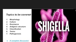 shigelluosis  shigella microbiology  morphology culture antigenic tructure and pathogenesis [upl. by Freddie]