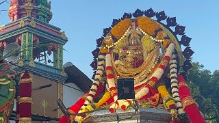 Aruthra Darshanam  Chariot Festival at Nallur Sivan Temple Jaffna Sri Lanka  27 Dec 2023 [upl. by Junno]