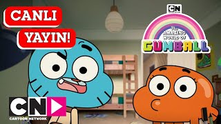 🔴 CANLI 🔴 GUMBALL  3 SEZON  Tüm Bölümler  Cartoon Network Türkiye [upl. by Rudie967]