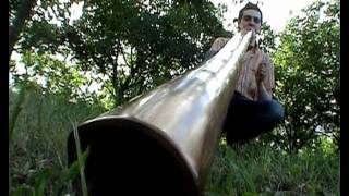 DIDGERIDOO  oboreal play on didgelement  tree to flood [upl. by Buchanan87]