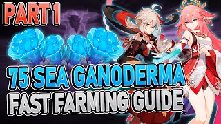 Sea Ganoderma 75 Locations Part 1 FAST FARMING ROUTE  Genshin Impact 20 [upl. by Ardnuahs]