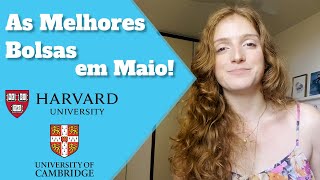 AS MELHORES BOLSAS DE ESTUDO INTEGRAIS PARA O MÊS DE MAIO ESTÃO AQUI  E tem Cambridge e Harvard [upl. by Eleirbag337]