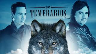 Los Temerarios Mix 2022 [upl. by Guillermo]