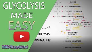 Glycolysis MADE EASY 2020  Carbohydrate Metabolism Simplified [upl. by Eetak900]