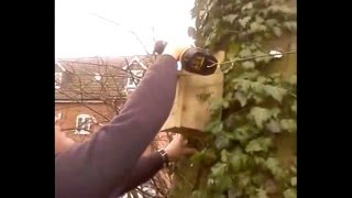 Putting Up Bird Boxes At Blenheim Grange [upl. by Anibas]