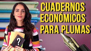 📚 CUADERNOS ECONÓMICOS para PLUMAS ESTILOGRÁFICAS [upl. by Rriocard]