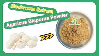 Zhongyiherbs Agaricus Bisporus Mushroom Powder Source Factory To Introduce To You [upl. by Ennahtur]