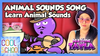 Animal Sounds Song  Learn Animal Sounds with Cool School on Tea Time with Tayla [upl. by Jedidiah]