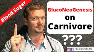 GLUCONEOGENESIS on Carnivore Diet Too Much Protein  GLUCOSE [upl. by Noiramed]