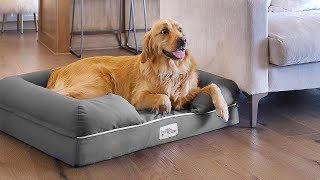 The 6 Best Dog Beds 2024 [upl. by Lipscomb]