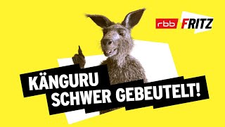 Ein Problem  Neues vom Känguru reloaded  MarcUwe Kling  KänguruChronikenStorys  BONUSFOLGE [upl. by Cone]