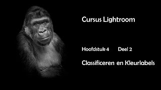 Hfdst 4 Deel 2 Classificeren en kleurlabels [upl. by Aneehs]