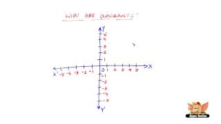 What are Quadrants [upl. by Elohcan]