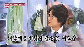 홍혜걸Hong HyeGul 피셜， 의학계를 뒤집어 놓은 아피제닌 삼총사♨ 냉장고를 부탁해 229회 [upl. by Attelocin]