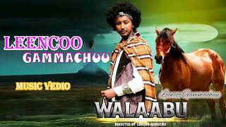 Leencoo Gammachuu  Walaabu  New Ethiopian Oromo Music 2024 Audio Music [upl. by Torr]