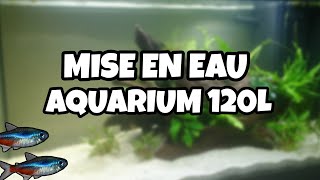 DÉMARRAGE DE MON AQUARIUM 120L [upl. by Yreneh]