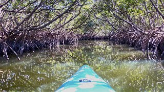 Hiking and Kayaking at Caladesi Island State Park [upl. by Margit77]