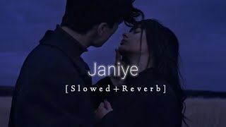 Janiye SlowedReverb Vishal Mishra Rashmeet Kaur  Lofi Music [upl. by Nevad]