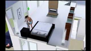 Sims 3 Glitch Woohoo Inside Each Other [upl. by Blancha]