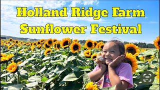 Holland Ridge Farm Sunflower Festival [upl. by Albie205]