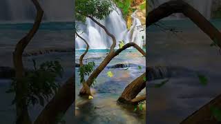 Musique Douce Relaxante Calme Nature Relaxation SHORTS [upl. by Menell]