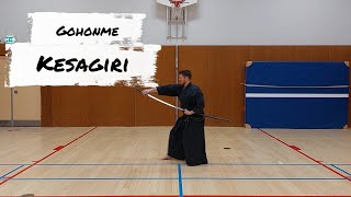 iaido znkr 5th kata Kesagiri [upl. by Mariano451]