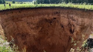 What Is Podzolic Soil [upl. by Brufsky862]