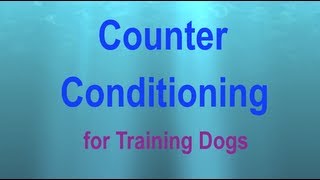 Counter Conditioning a Visual Explanation [upl. by Shaefer]