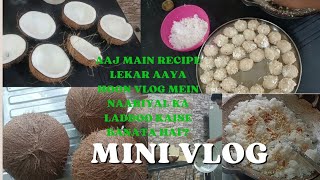 aaj mera video hai kis tarah naariyal ka laddoo banaate hain recipe travel vlog recipe [upl. by Eivod]