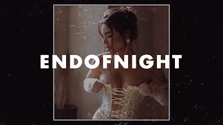 FREE RampB Type Beat x Trapsoul Beat 2024  quot END OF NIGHT quot  Rnb type beat 2024 [upl. by Yenruoc]