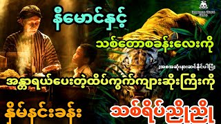 နီမောင်နှင့် သစ်တောလုပ်ငန်းကိုအန္တာရာယ်ပြုနေတဲ့ ထိပ်ကွက်ကျားဆိုးကြီးနှိမ်နင်းခန်း အစအဆုံး [upl. by Siraf604]