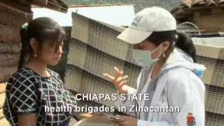 2009 H1N1 Influenza Pandemic Mexico [upl. by Cord]