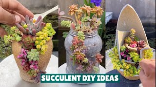 Succulent DIY Ideas from Recycling  Succulent Garden 肉植物 다육이들 Suculentas [upl. by Dawkins]