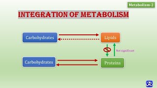 2 Integration of Metabolism  Metabolism2  Biochemistry  NJOY Biochemistry [upl. by Eelhsa176]