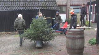 Firma Kerstboom in Waldervaart Schagen [upl. by Zoubek641]