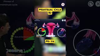 Menstrual Cycle 3D animation Class BY MD sir sankalpbharat ytshorts 3dclass biology neet [upl. by Judd]