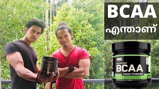 അടിപൊളി മസിൽസ് ഉണ്ടാവാൻ BCAA ആവശ്യമാണോWhat are BCAA Supplements And How Do They Works Malayalam [upl. by Novyart732]