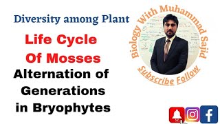 Life Cycle of Mosses Reproduction in Bryophytes Alternation of Generations [upl. by Daj930]