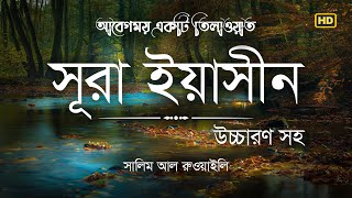 সূরা ইয়াসীন এর আবেগময় তিলাওয়াত । Surah Yasin Bangla Recited by Salim Al Ruwaili । Ya Sin Channel [upl. by Laertnom]