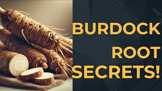 Shocking Benefits of Burdock Root [upl. by Atrebla]