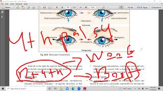 second lecture in strabismus [upl. by Erda700]