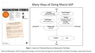 SAP Webinar Richard Whittington Micro and macro in SAP research [upl. by Esilehc114]