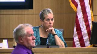 Jodi Arias Murder Trial  Day 42  Part 2  Juan Martinez cross of Alyce LaViolette [upl. by Yahsat]