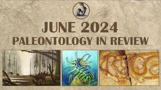 June 2024 Paleontology in Review [upl. by Hengel]