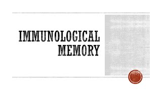 Immunological Memory [upl. by Attem8]