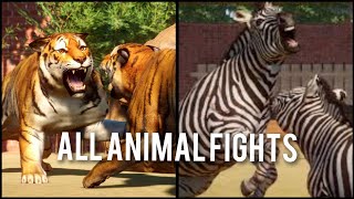 Planet Zoo 112 All Animal Fights [upl. by Leilamag]