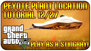 GTA 5 XB1PS4 NEW quotPEYOTE PLANT EASTER EGGquot PLAY AS A STINGRAY LOCATION 1227 GTA 5 TUTORIAL [upl. by Pond583]